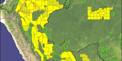 Peru amazonės atogrąžų miškų žemėlapio
